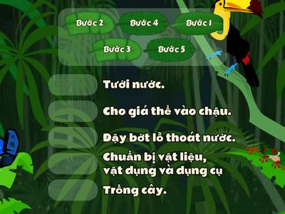 Các bước trồng hoa, cây cảnh trong chậu.