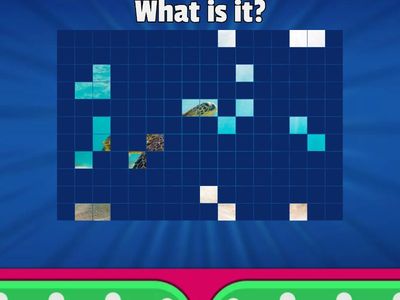 UW. B1. U5 - Ocean Animals Vocabulary