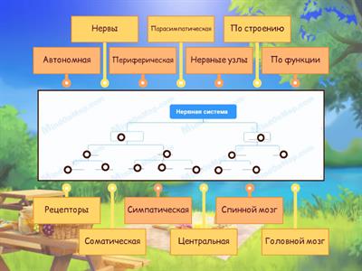 Биология Г2П6