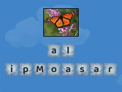 Adivina la palabra - Guess the word