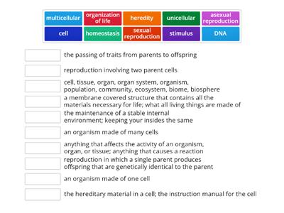 Characteristics of Living Things