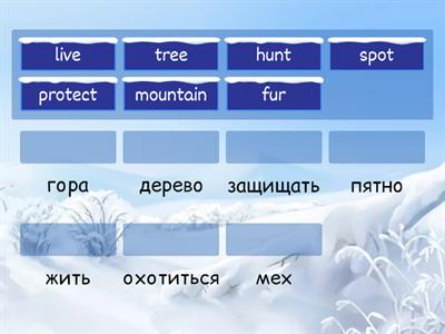 SMILES 4 | MODULE 6 | p.94