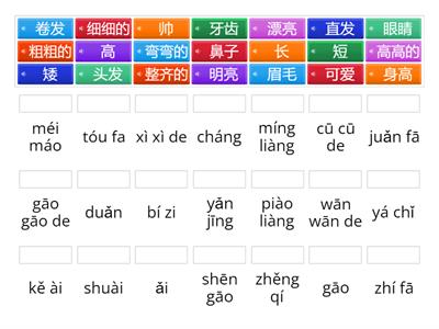 Ch B describe physical appearance vocabulary practice
