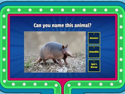 BBr Starter - U1 v1g1 REVIEW