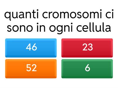 apparato riproduttore
