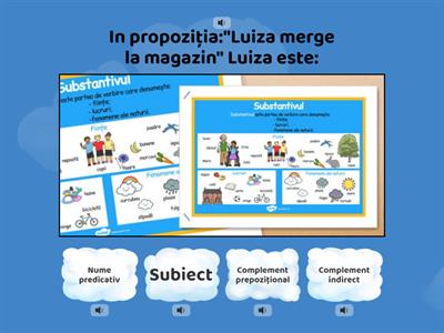 Cazurile si funcțiile subiectului