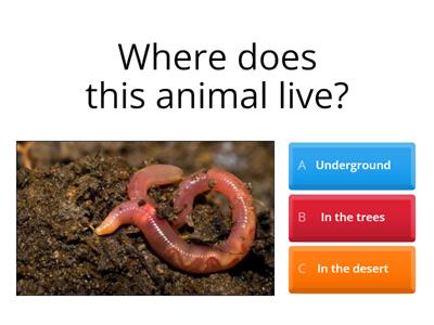 Habitat Quiz