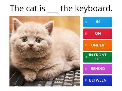 PREPOSITIONS OF PLACE 1