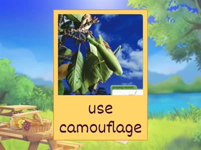 Lesson 44 ELA 3D1 New words