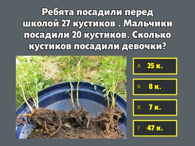 Задачи, 1-2 класс 