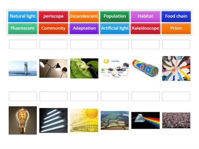 Gr 4 Science -Habitat / Light
