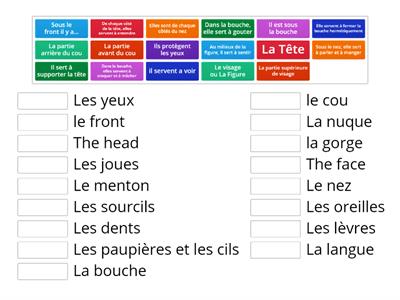 La Tête Basic 1