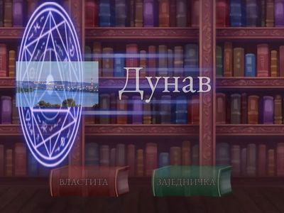 Властите и заједничке именице