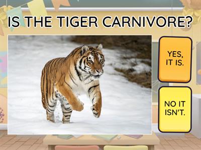 YES, NO QUESTIONS ( FLYERS)