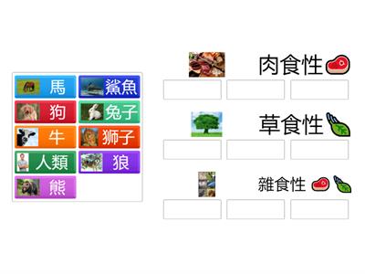 肉食性、草食性、雜食性
