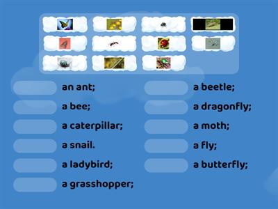 Rainbow English 7 лгр Unit 5 Ex. 22 insects