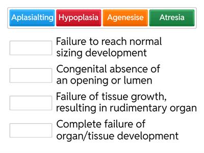 Developmental Defects