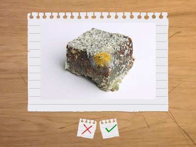 Вредно или полезно?