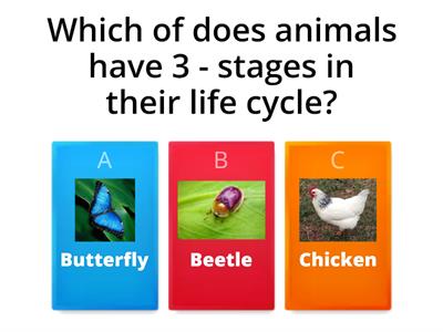 Pri 3 and 4 Science - Life Cycle of Plants and Animals 