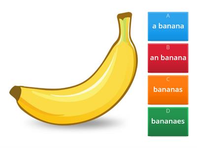 Singular and Plural Nouns 