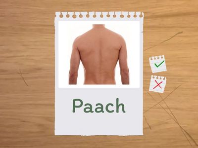 Vacabulario Maya- partes del cuerpo