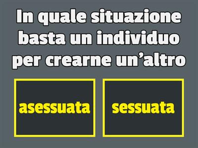 ARGOMENTI SULLE PIANTE