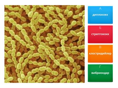 микробиология