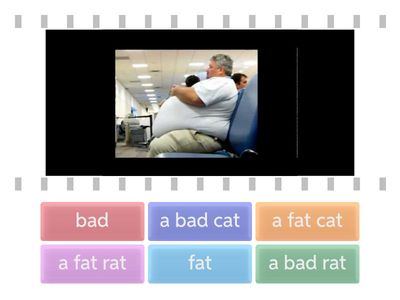 Шишкова Вербовская урок 3 прилагательные