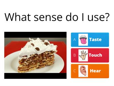 THE FIVE SENSES- 1 grade