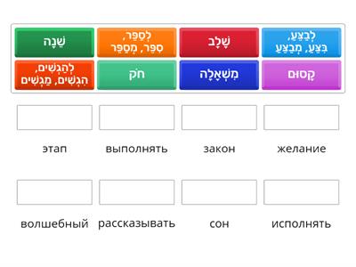 סופיה וינר 29.05