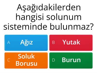 SOLUNUM SİSTEMİ 