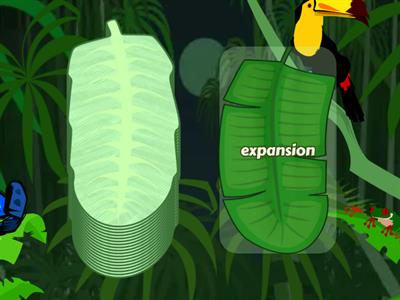 7.4 Final Stable Syllable -tion, -sion