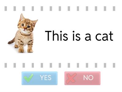 Starters - R&W Part 1