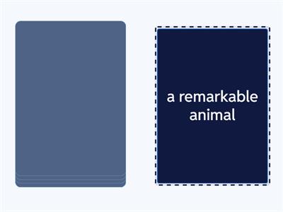 Outcomes Adv_Unit 8_Animals_Speaking (SB p.75 ex.12)