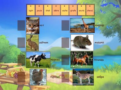 Les animaux 2 класс