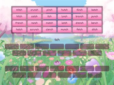 Word Sort ch & tch