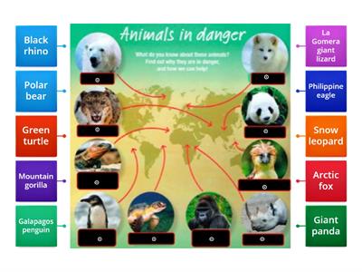 Animals in danger