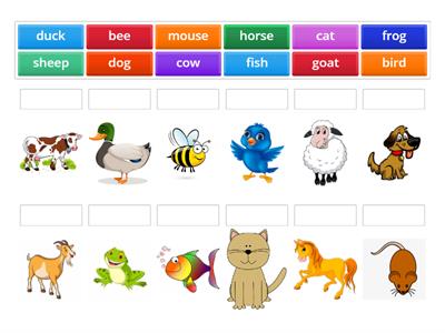   Animals Starters  YLE Unit 1