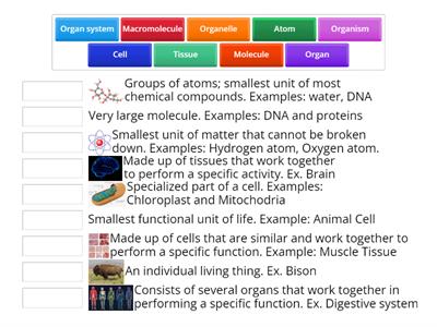  Levels of Organization