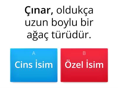 Cins ve Özel İsim 6. Sınıf