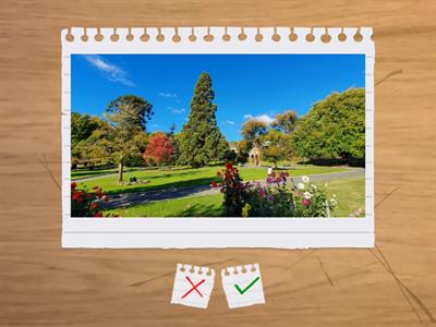 Learn Dutch with Victor les 6