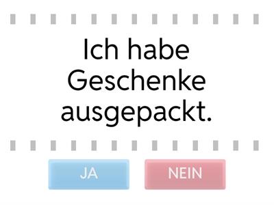 Was habe ich in den Weihnachtsferien gemacht?