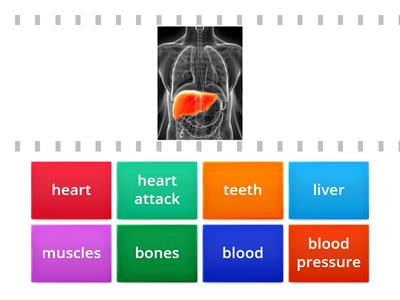 EF Pre-Int. 5c: body and health