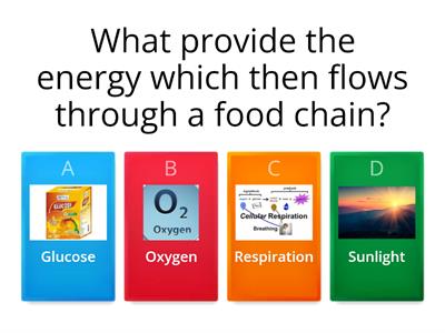 10 our invironment quiz by Hitesh