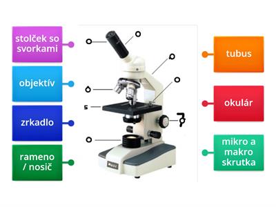 BIO5 W:4/1 - Mikroskop