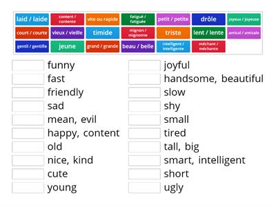 Les adjectifs FSL