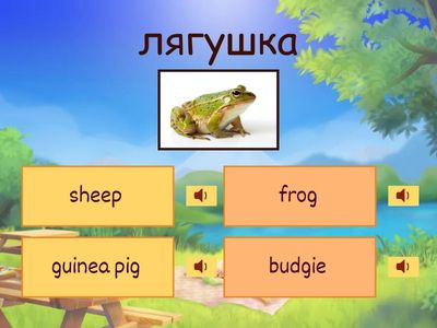 66/70 Spotlight 5 Module 5 Animals +