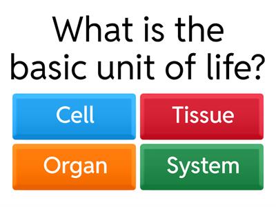 Cell Structures and Functions Quiz S7L2 