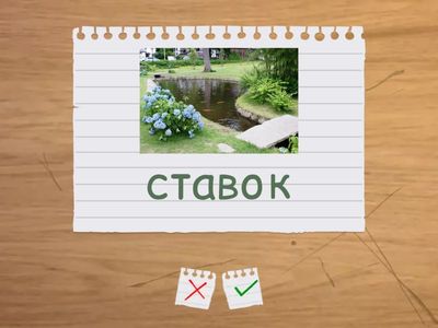 Super Minds 1 Unit 4 Animal habitats