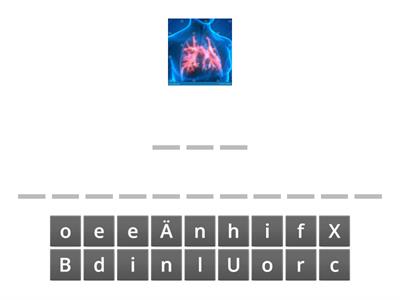 4) Atemwege: Bestandteile aufschreiben